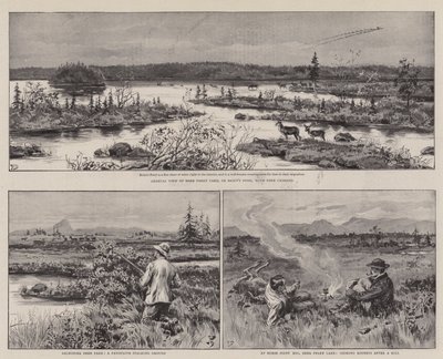 Landbrug og sport i Newfoundland af Frank Dadd